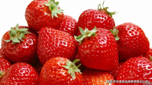 食品品牌營銷策劃公司 以消費(fèi)者洞察為核心，驅(qū)動品牌價(jià)值增長